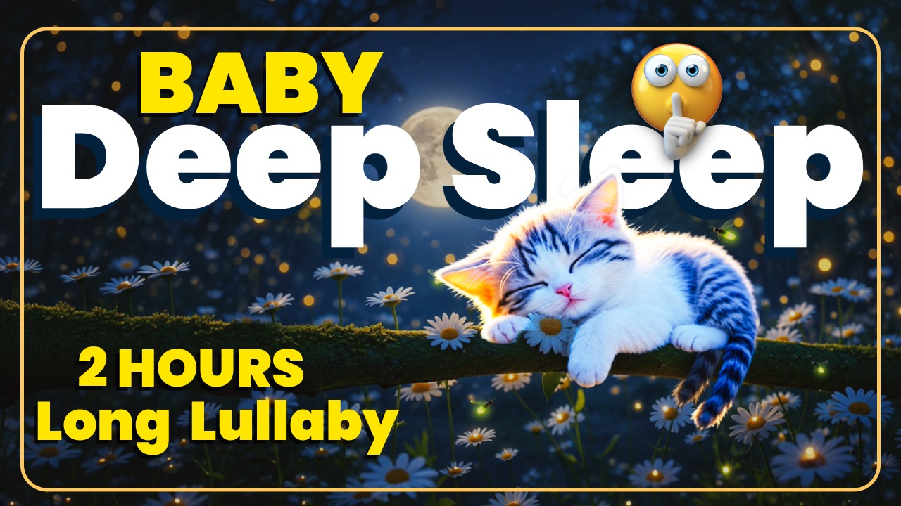 Moon Kitten Deep Sleep Long Lullaby